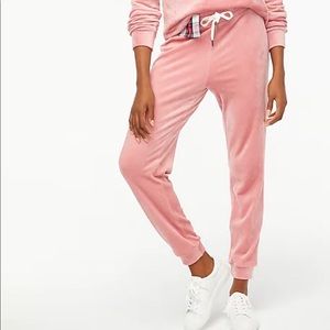 J Crew Factory Petite Velour jogger pant Petite Small. New With Tags